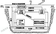 成功案例
